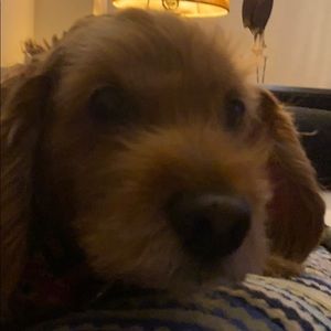 Meet your Posher, Deborah